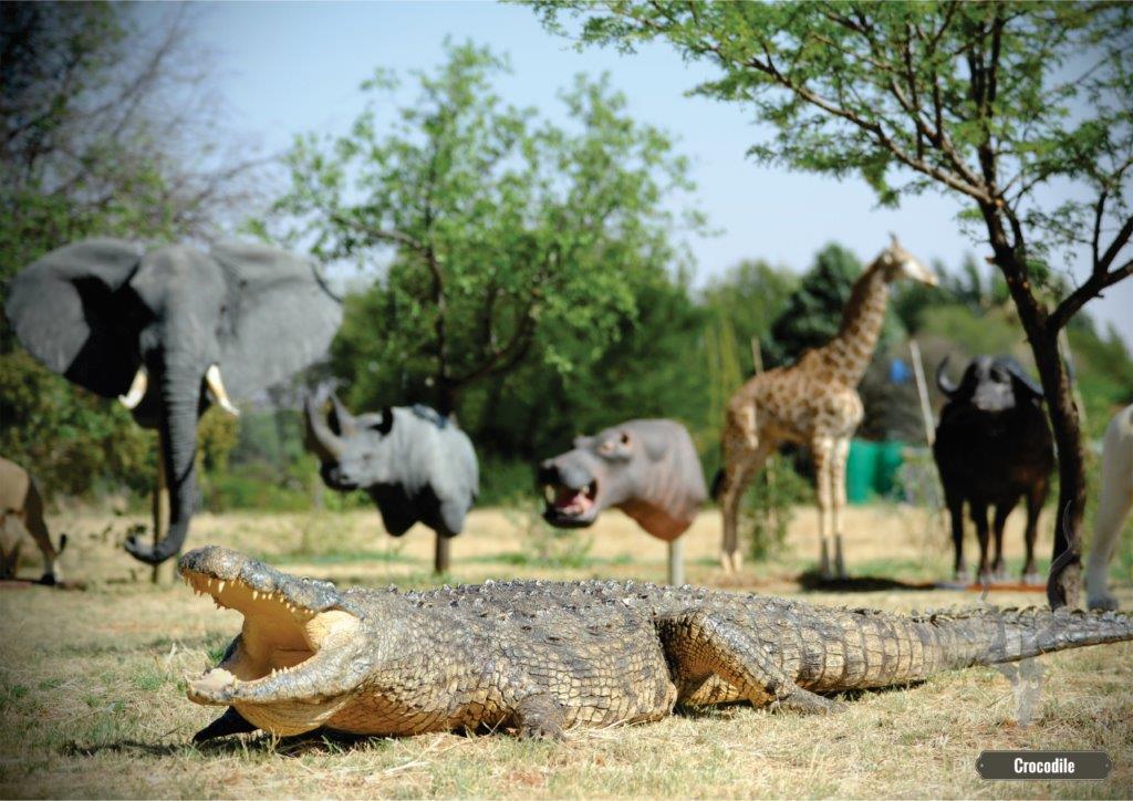 Crocodile, Rhino, Hippo, Giraffe