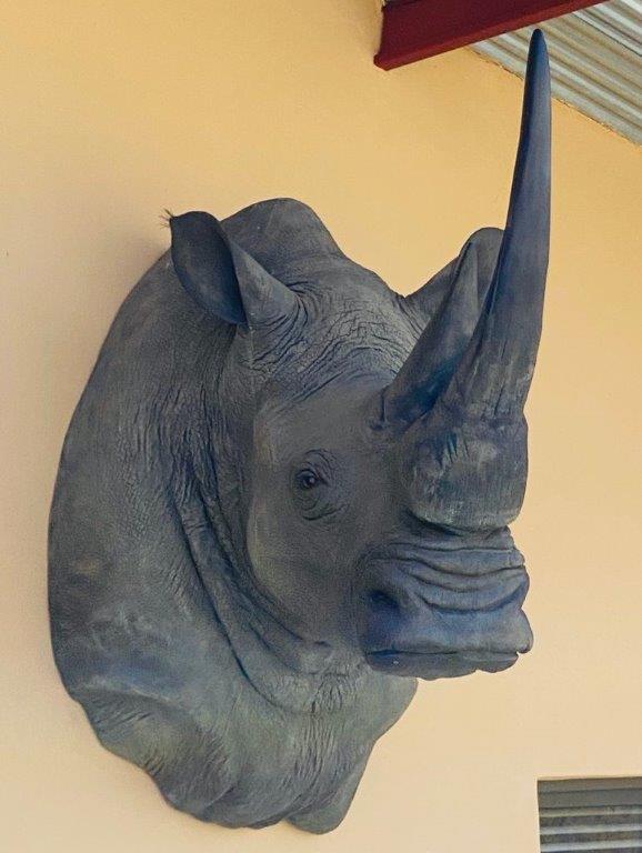 Rhino