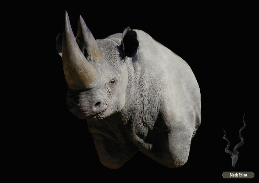 Rhino