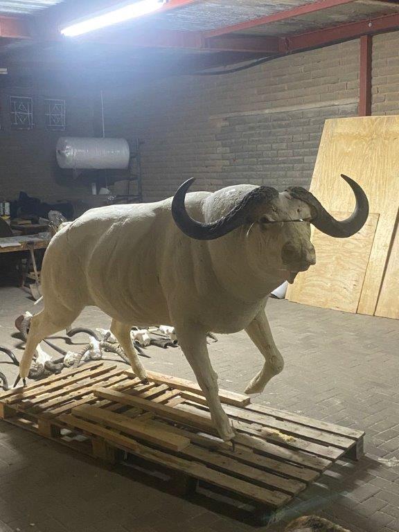 Buffalo Mold