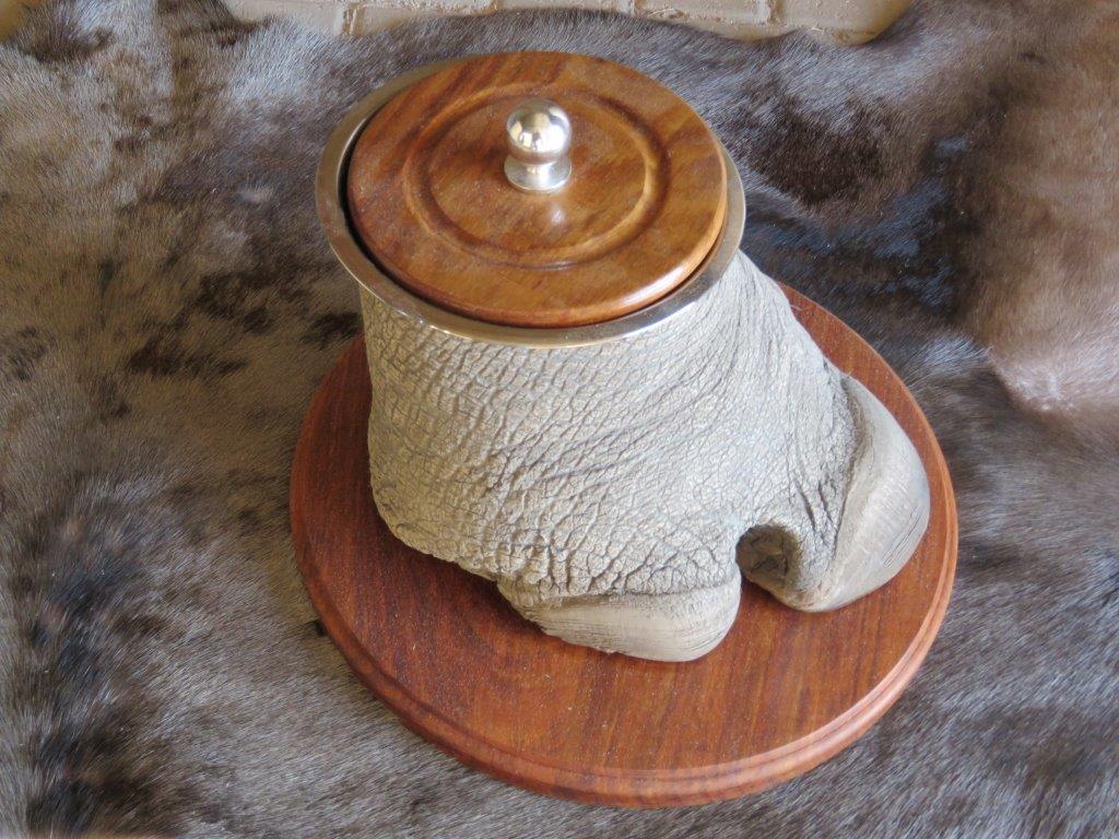 Rhino foot ice bucket