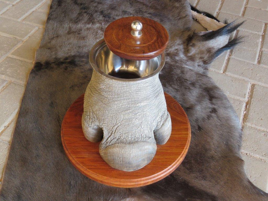 Rhino foot ice bucket