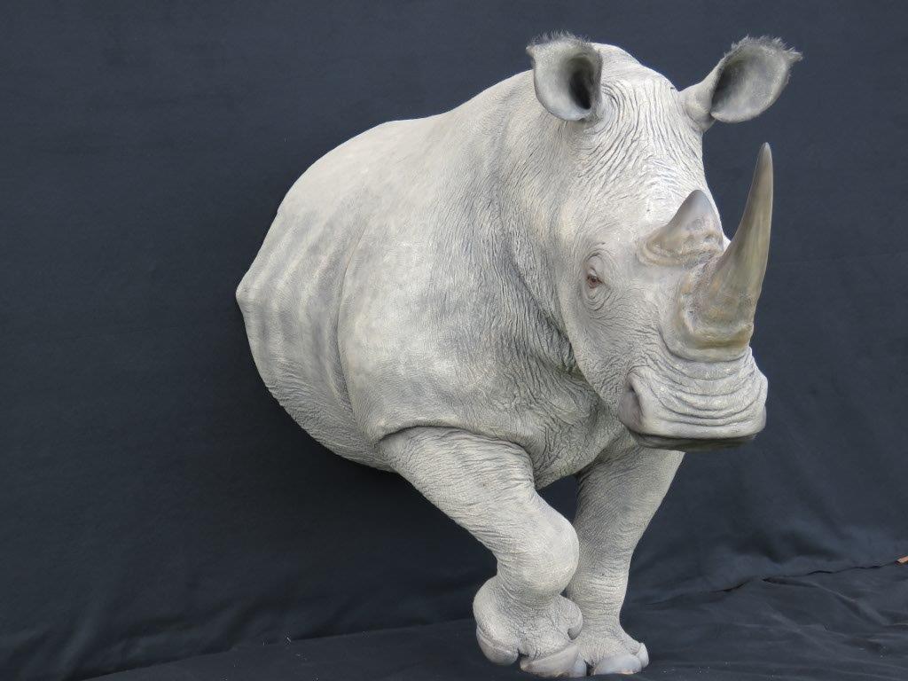 Rhino